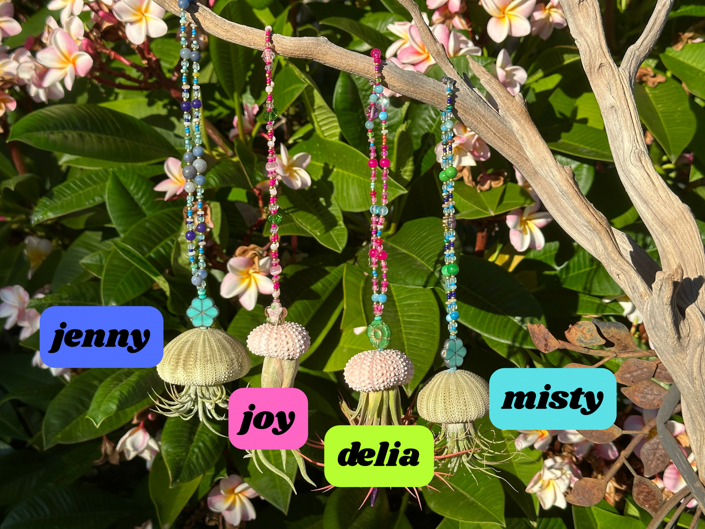 Jellyfish Hanger