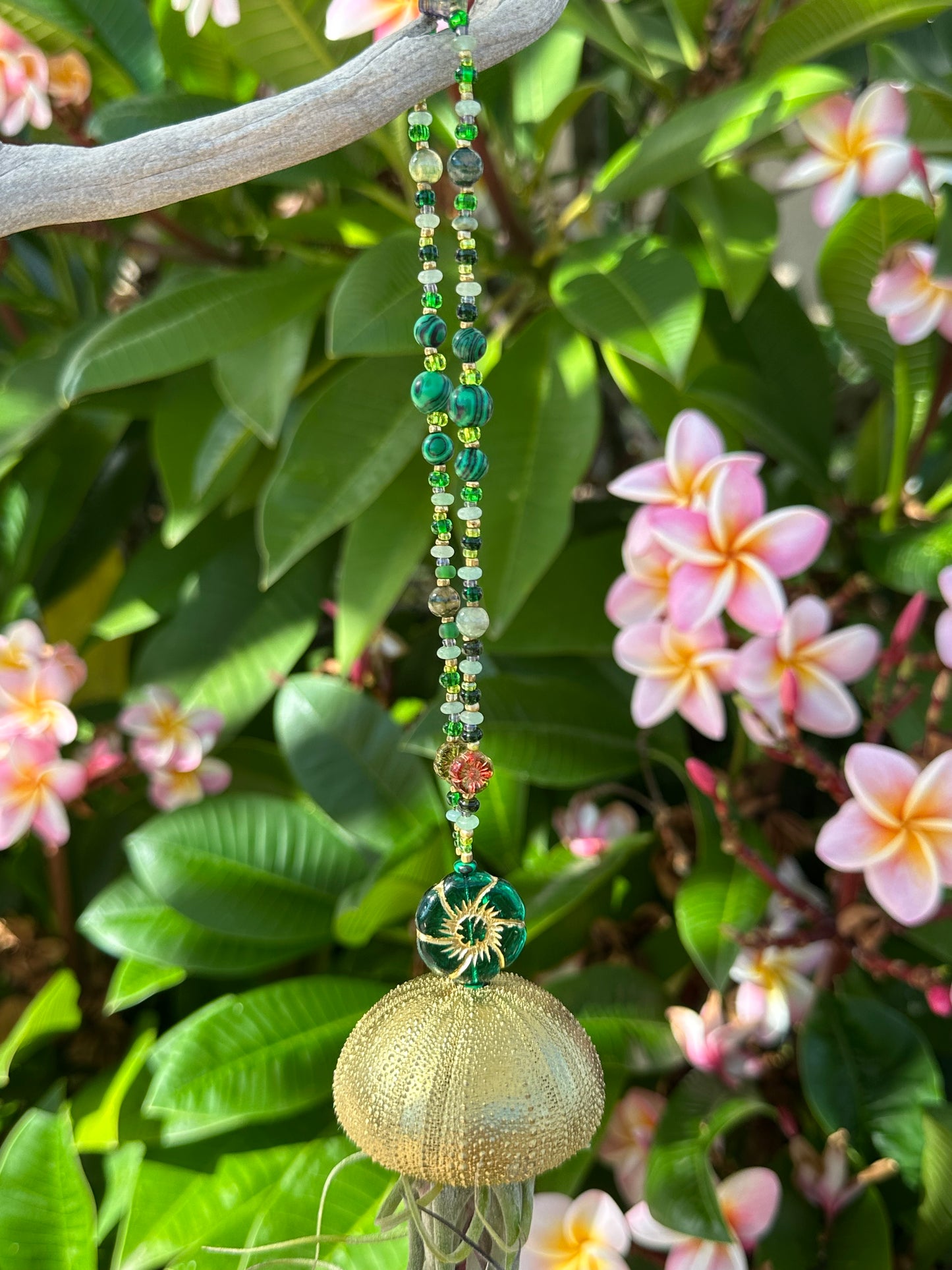 Jellyfish Hanger