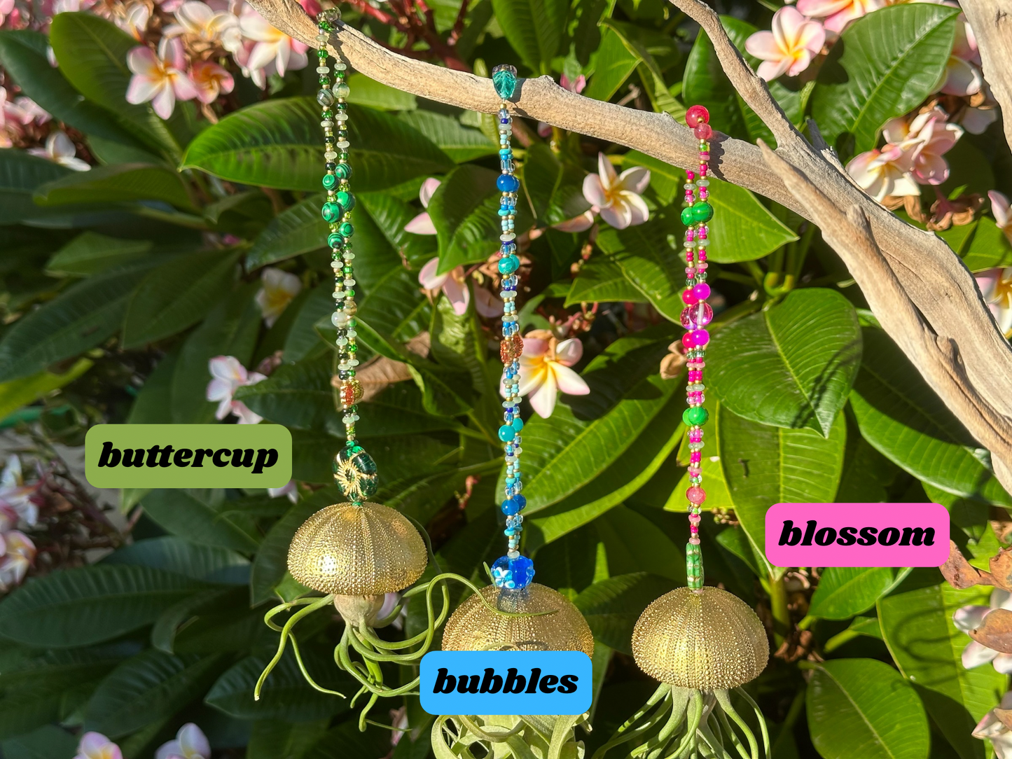 Jellyfish Hanger