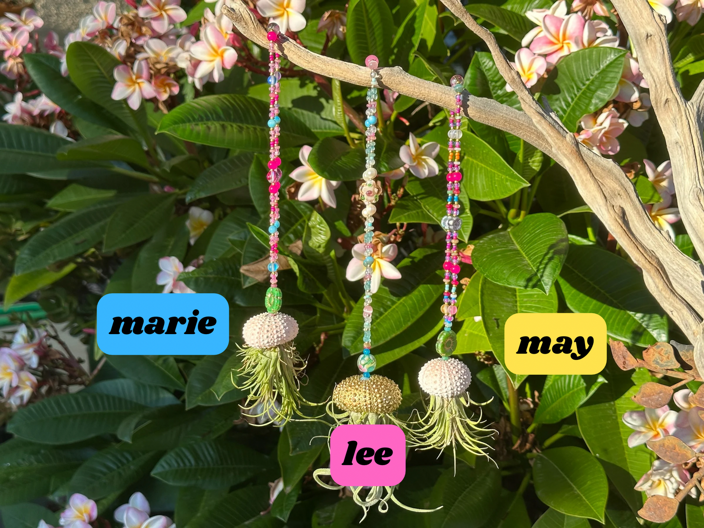 Jellyfish Hanger