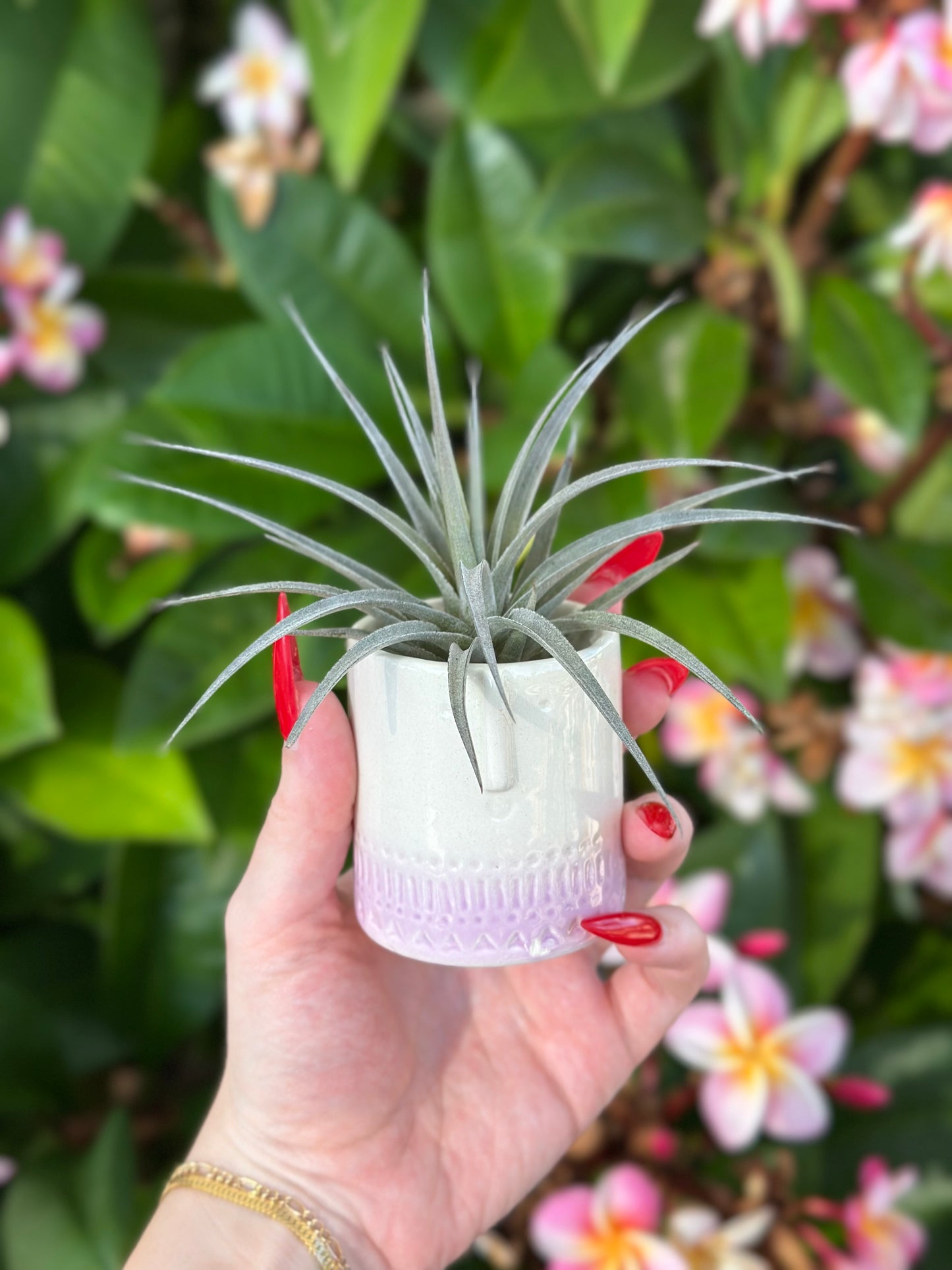 Face Pots