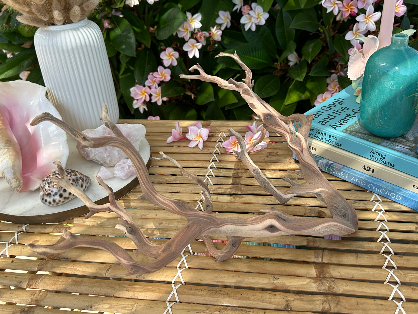 Manzanita Branches