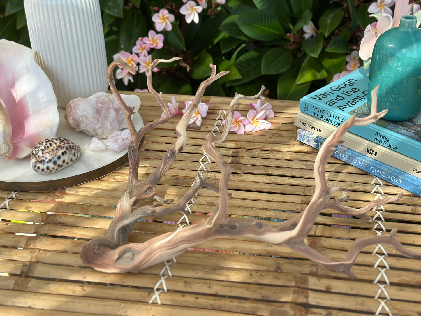 Manzanita Branches