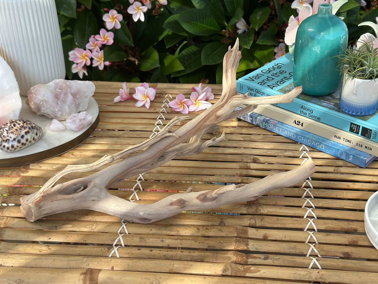 Manzanita Branches