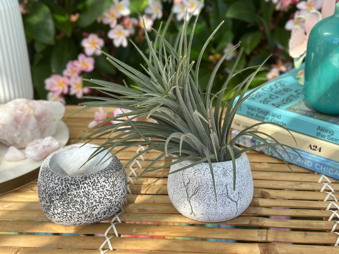 Large Stone Pot
