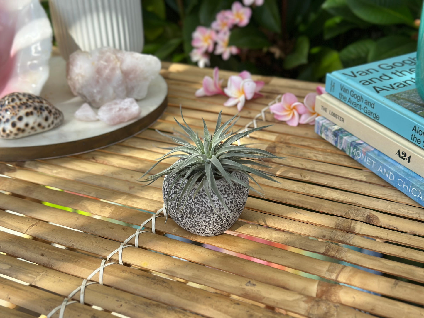 Small Stone Pot