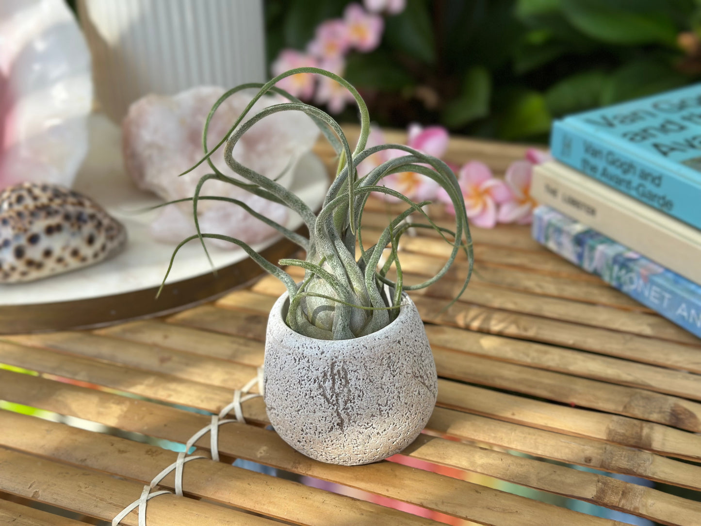 Small Stone Pot