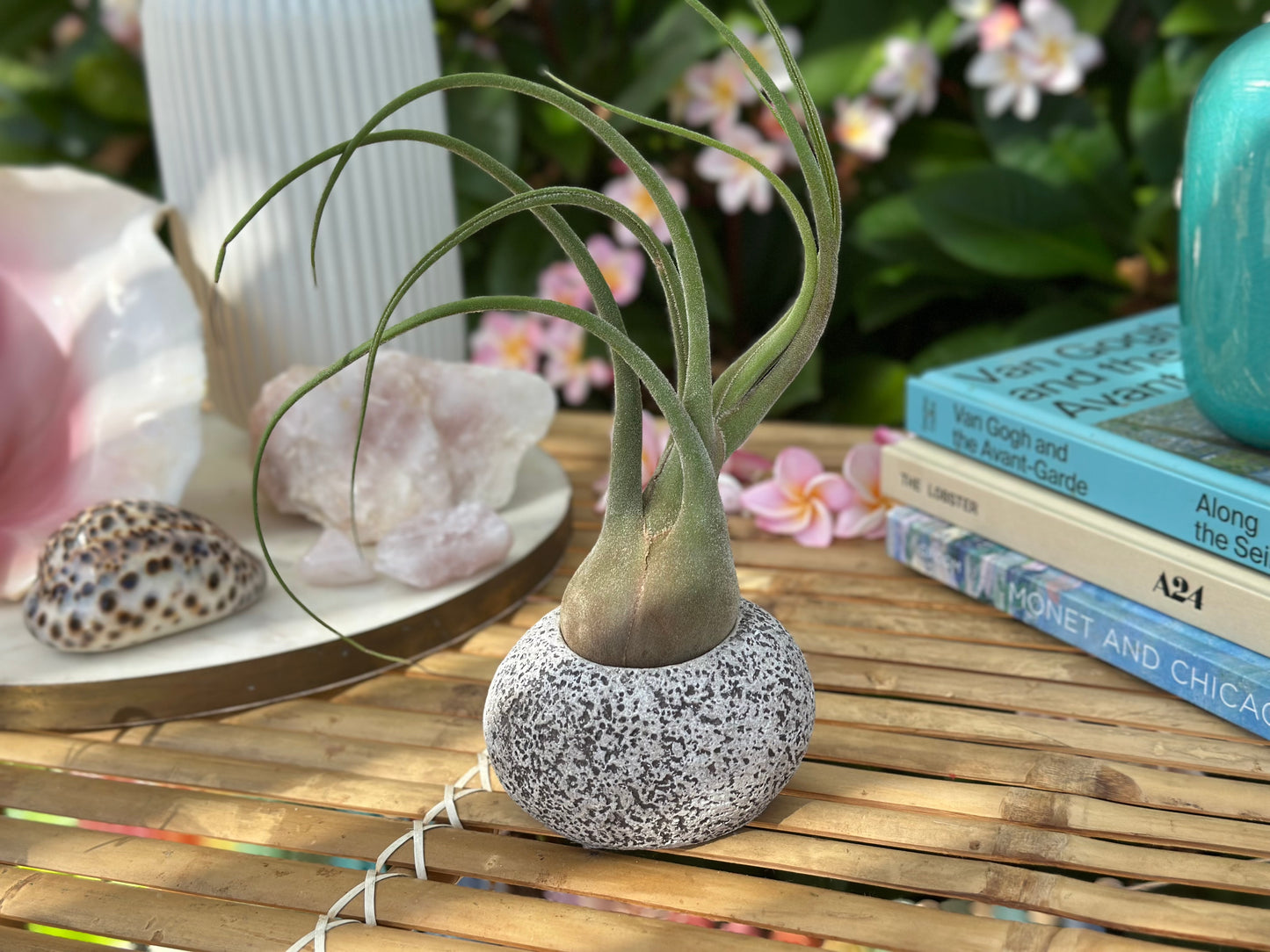 Small Stone Pot