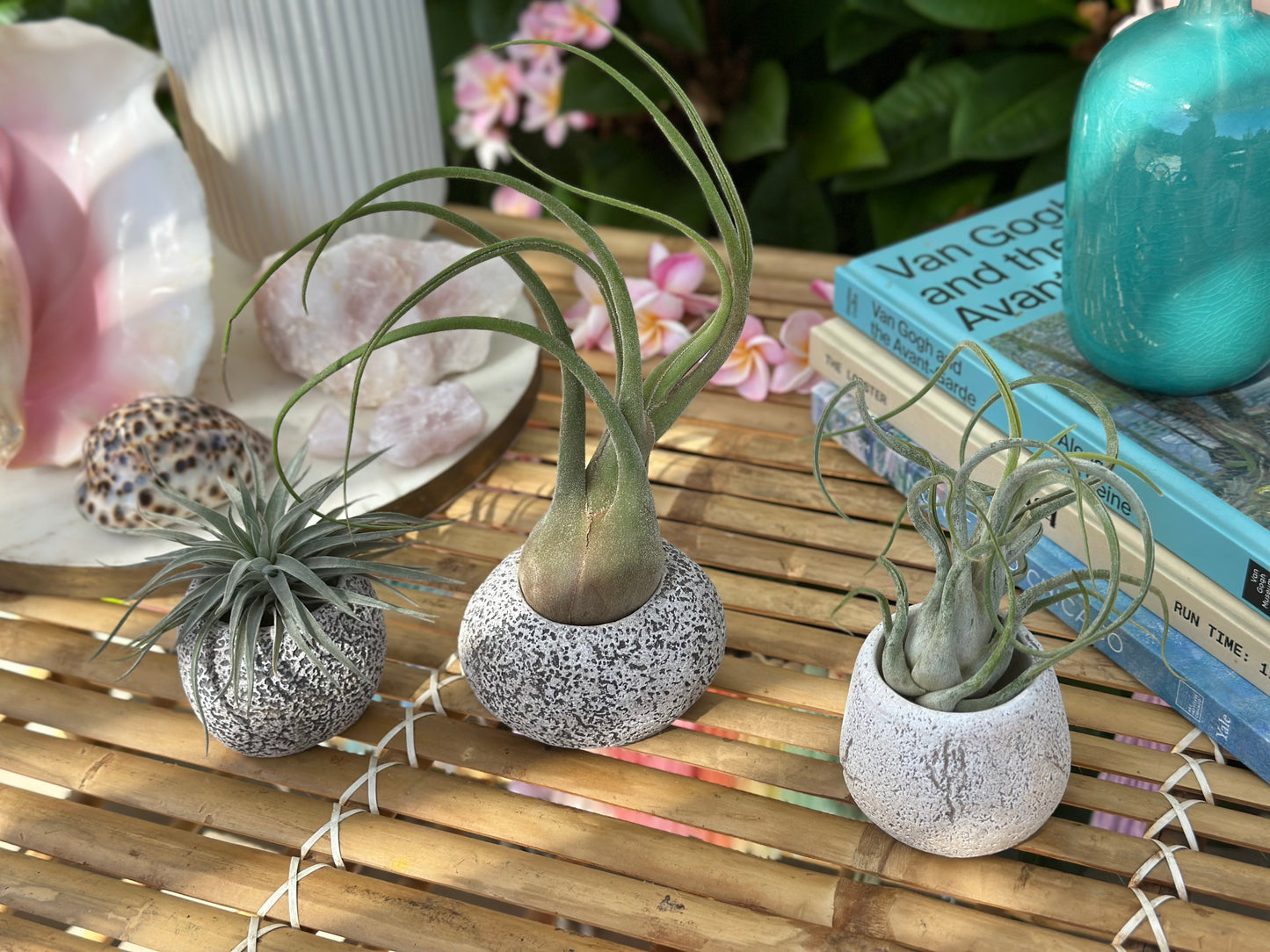 Small Stone Pot