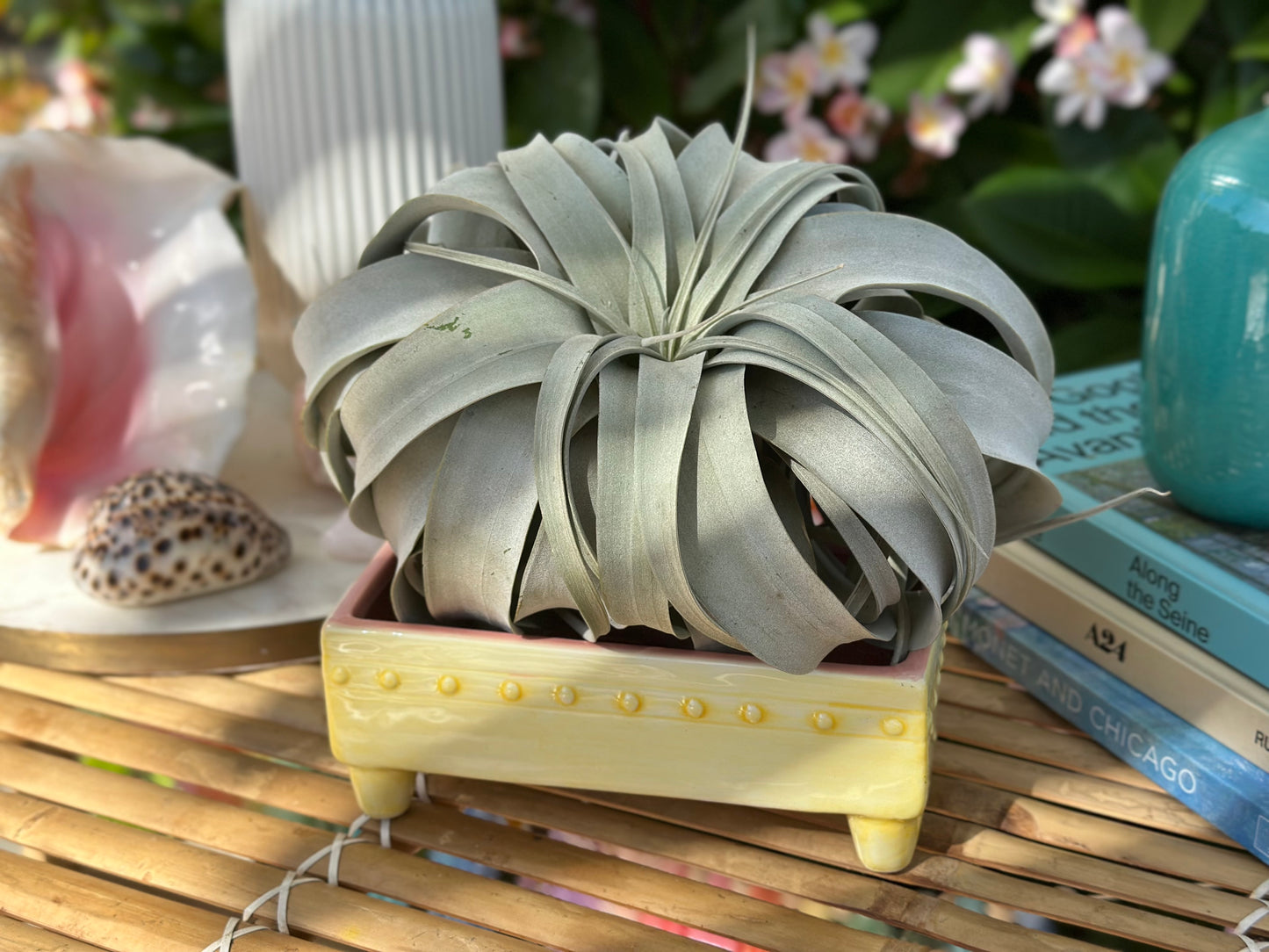 Yellow Pedestal