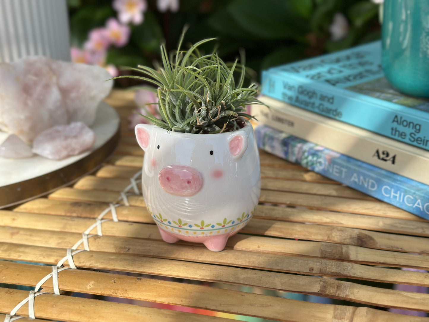 Animal Pots