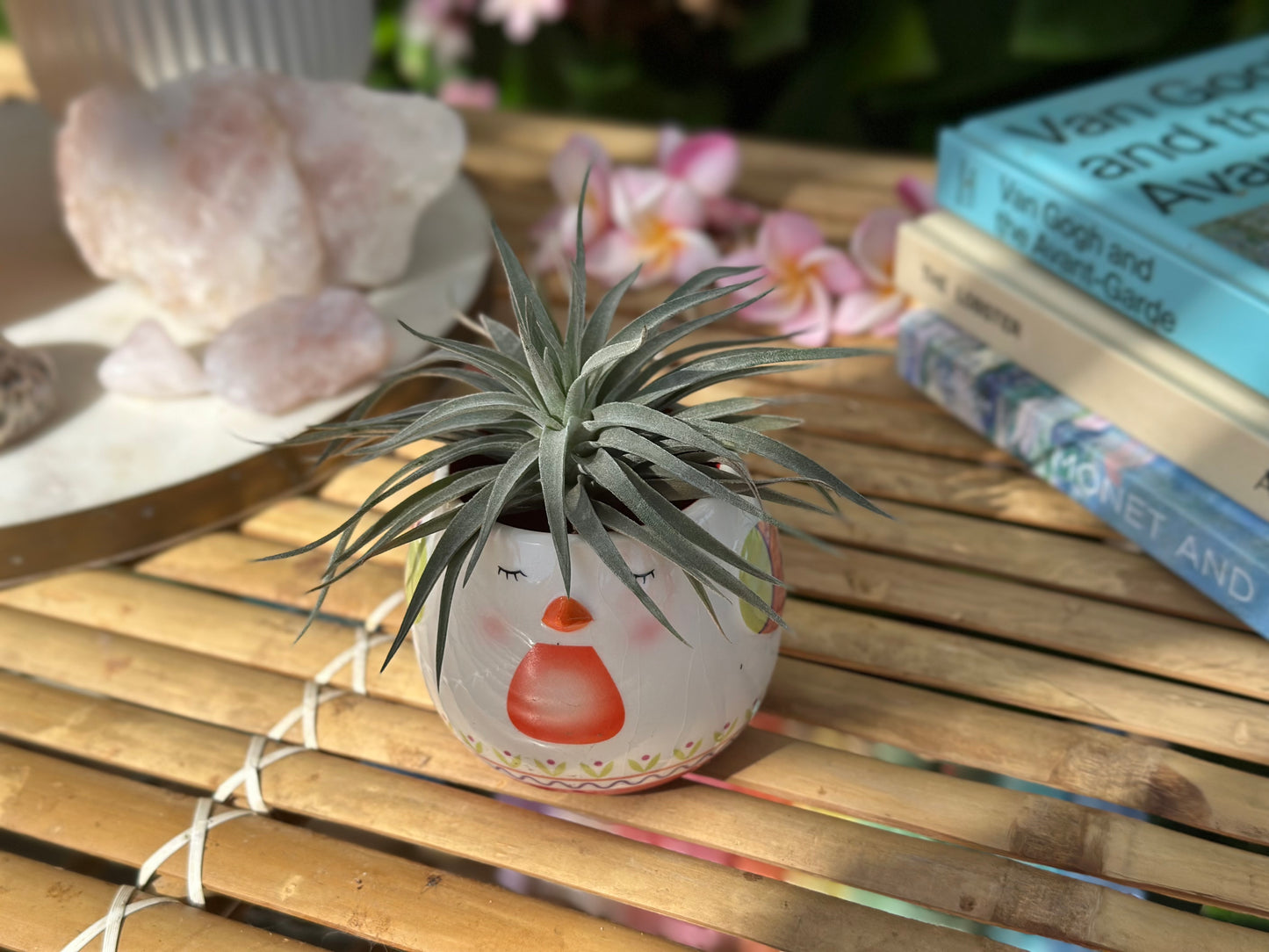 Animal Pots