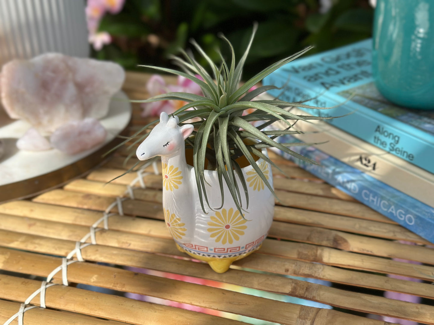 Animal Pots