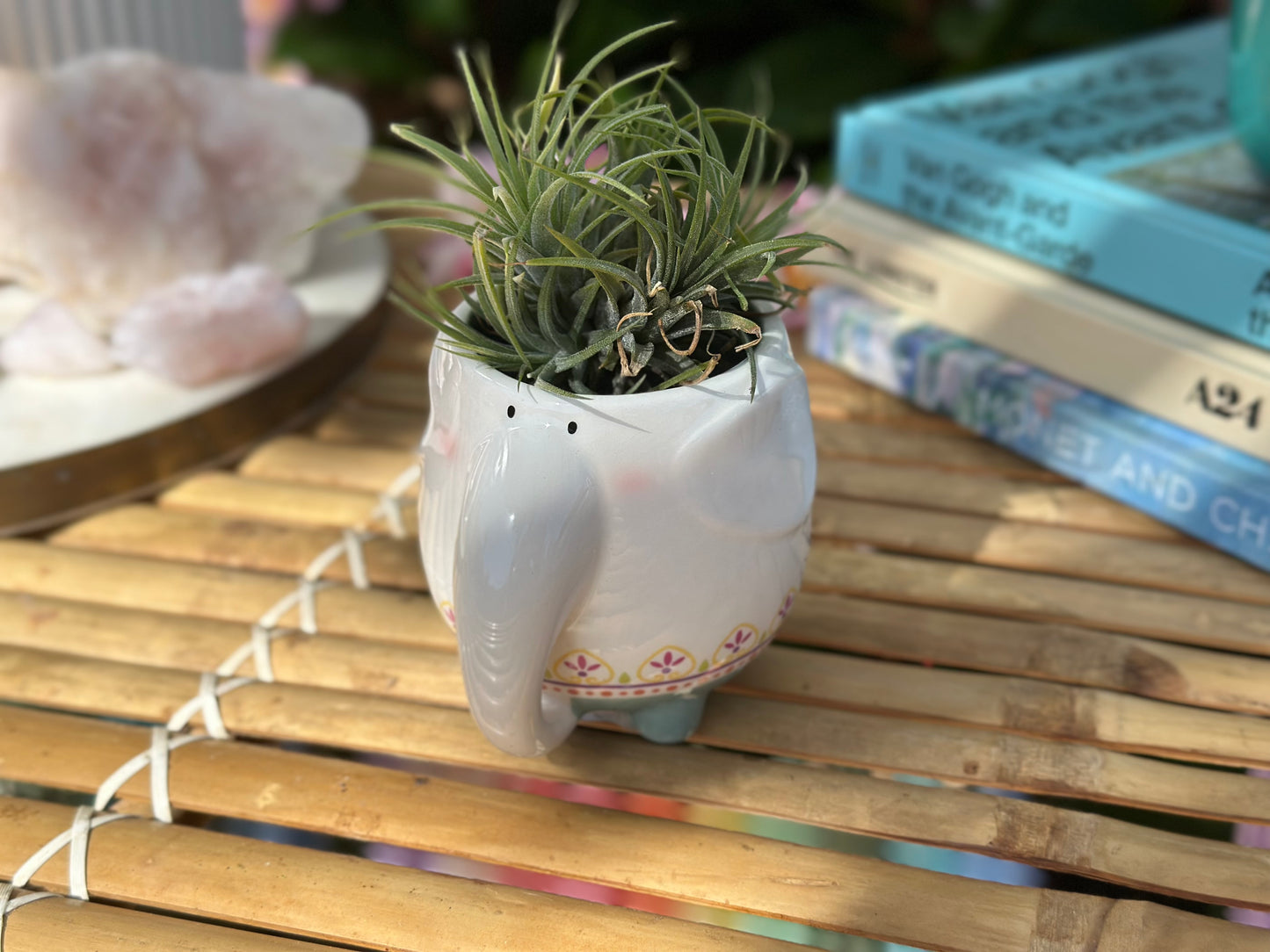 Animal Pots