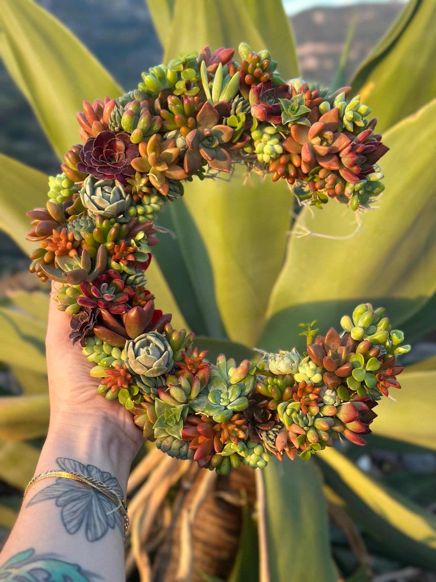 Succulent Moon Wreath