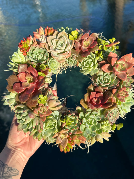 Succulent Wreath