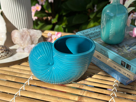 Nautilus Shell