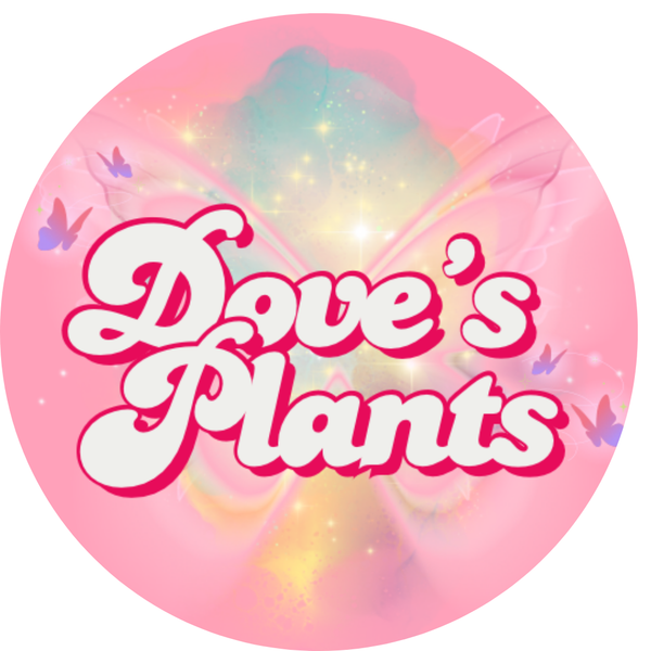 Dove's Plants